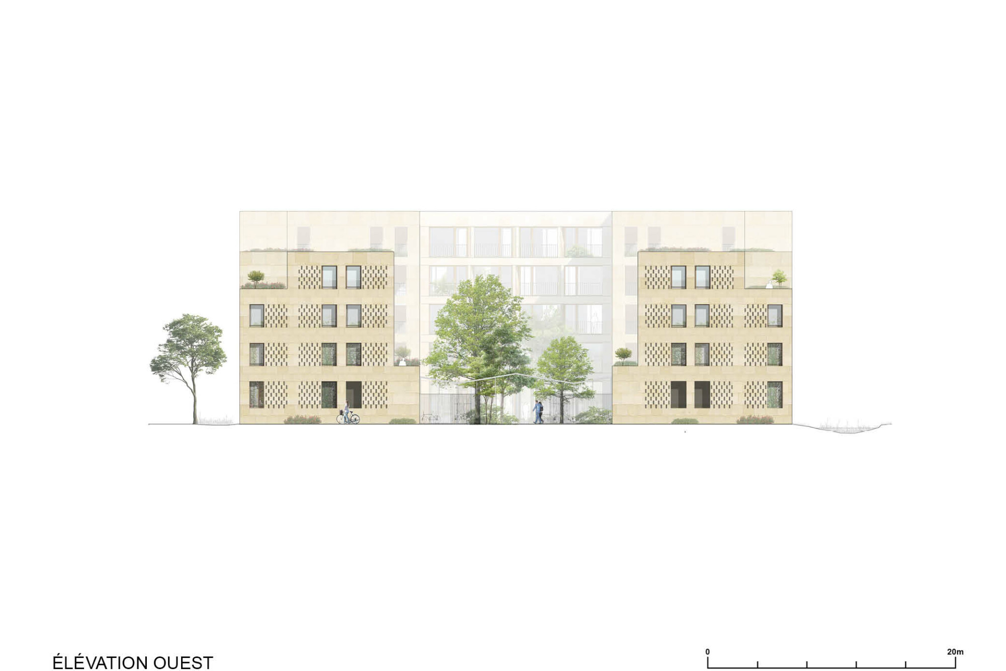 c65-elevation-ouest