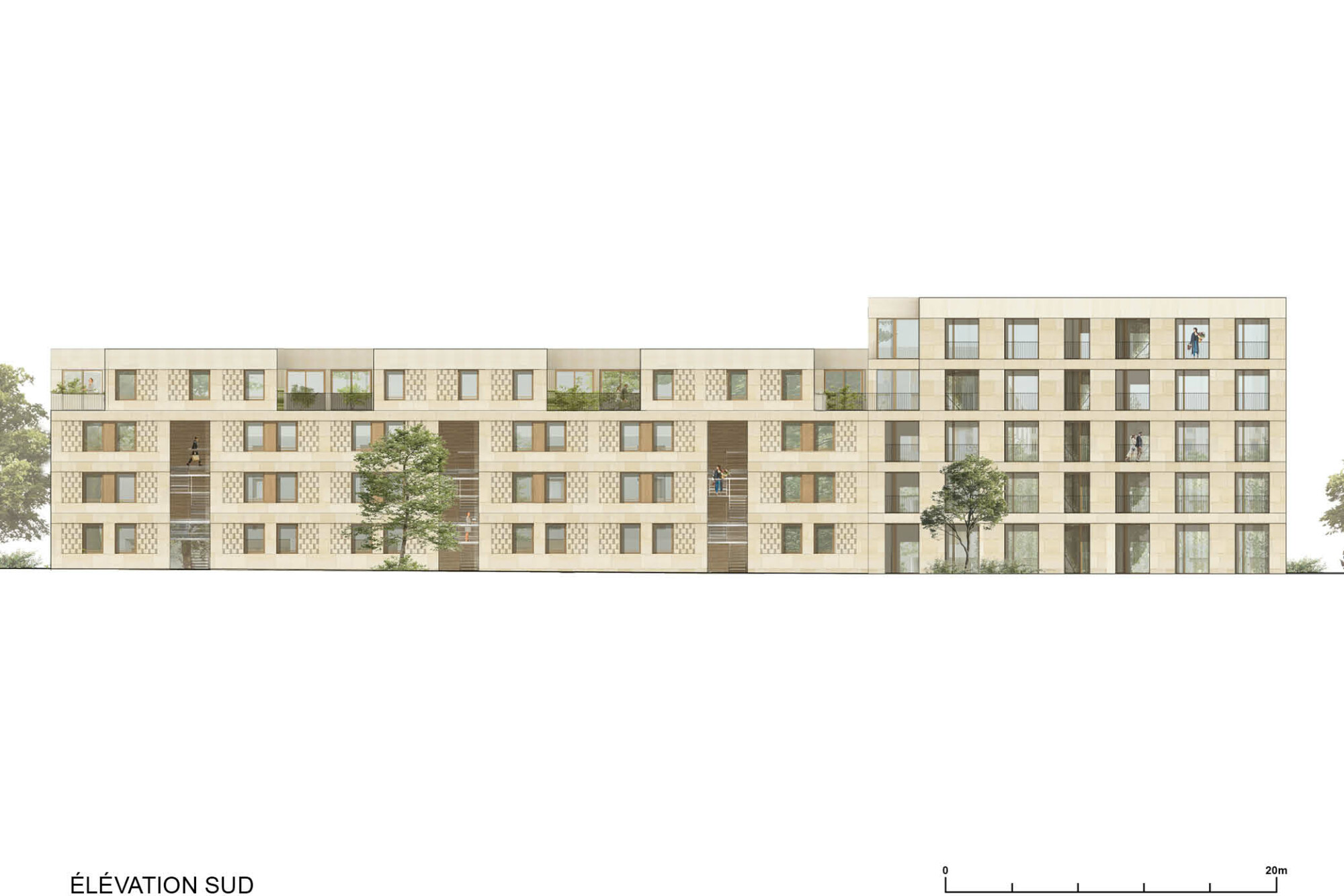 c65-elevation-sud
